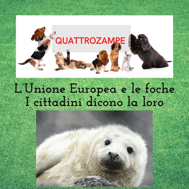 QuattroZampe: consultazione dei cittadini europei sulla protezione delle foche