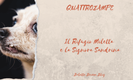 QuattroZampe: il Rifugio Miletta e la Signora Sandrina