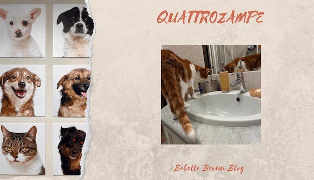 Mortimer e la fontanella della discordia