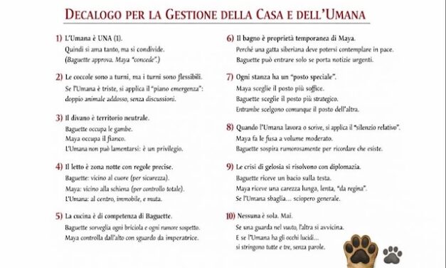 Baguette e Maya: decalogo di convivenza