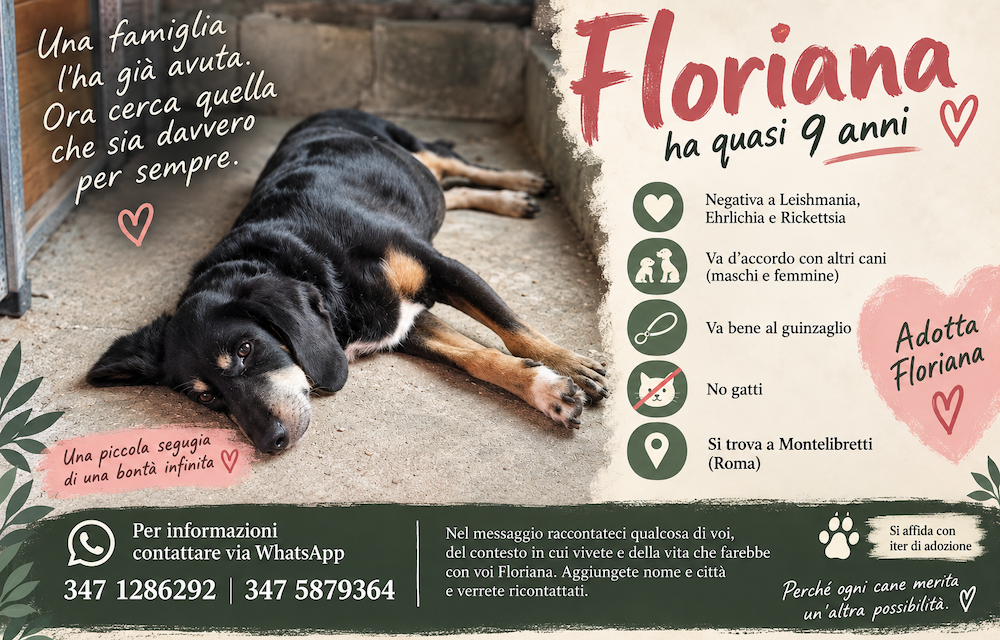 Mi chiamo Floriana e per sei anni ho avuto una casa