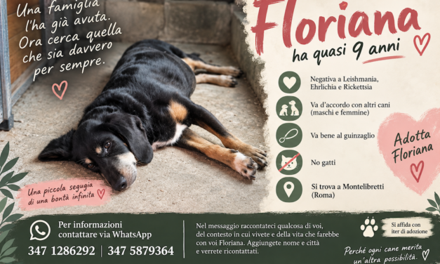 Mi chiamo Floriana e per sei anni ho avuto una casa